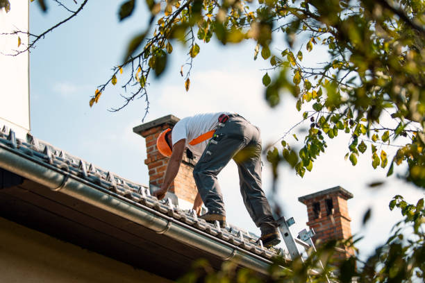 Best Flat Roof Repair Services  in Singac, NJ